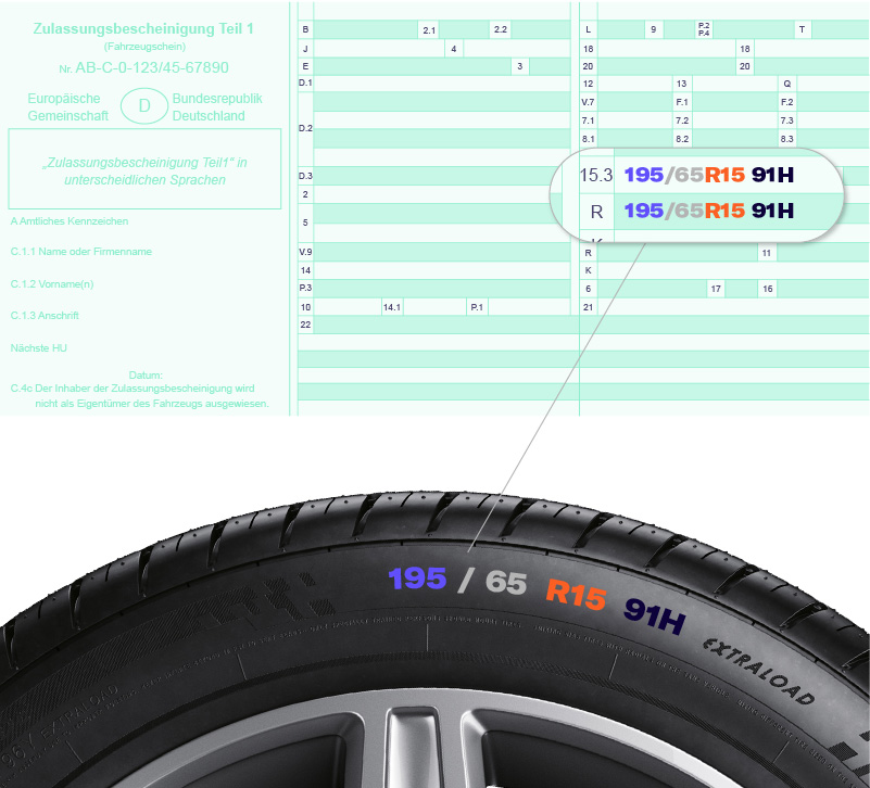 Infografik: Hier findest du die Reifengre im Fahrzeugschein