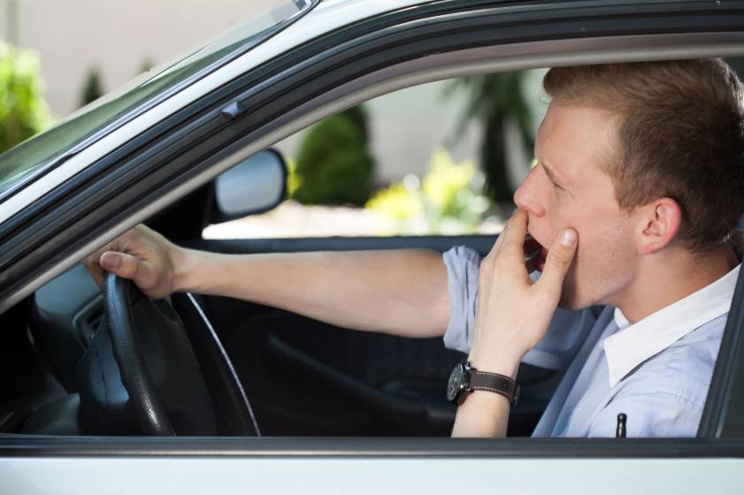 Ghnen beim Autofahren