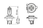 BOSCH HS1 Pure Light 35/35 W (1 St�ck), Art.-Nr. 1 987 302 104