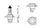 BOSCH H19 Pure Light 60/55 W (1 St�ck), Art.-Nr. 1 987 302 092