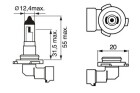 BOSCH H10 Pure Light 42 W (1 St�ck), Art.-Nr. 1 987 302 083