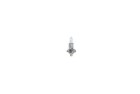 BOSCH H1 Pure Light 55 W (1 St�ck), Art.-Nr. 1 987 302 011