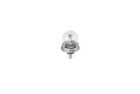 BOSCH R2 Pure Light 45/40 W (1 St�ck), Art.-Nr. 1 987 302 023