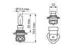 BOSCH HIR2 Longlife Daytime 55 W (1 St�ck), Art.-Nr. 1 987 302 027