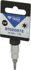 BRILLIANT 1/4" Torx-Bit-Stecknuss, T15, Art.-Nr. BT020972