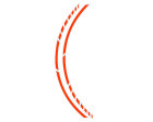 FOLIATEC PIN Striping Racing (Orange), Art.-Nr. 34445