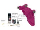 RAID Bremssattellack-Set "pink", Art.-Nr. 350041