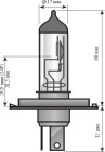 SPAHN H4 60/55 Watt (1 Stk.), Art.-Nr. 90100