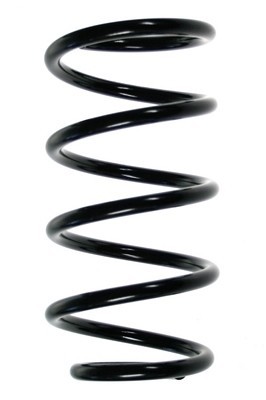 SPIDAN Fahrkwerksfeder Schraubenfeder mit konstantem Drahtdurchmesser Hinten Rechts Links für FIAT Barchetta