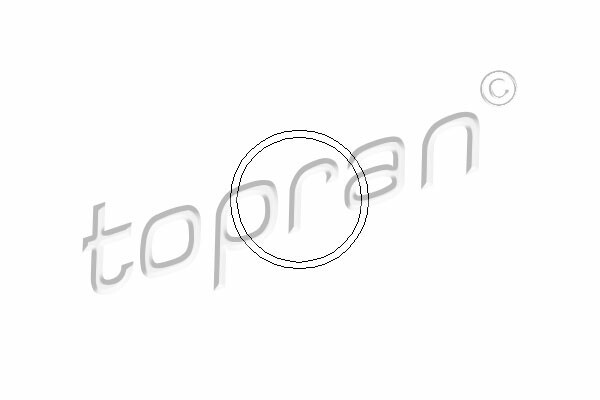 TOPRAN Dichtung, Wasserpumpe (202 288) für OPEL Corsa A Vectra B Astra Mk IV (G)