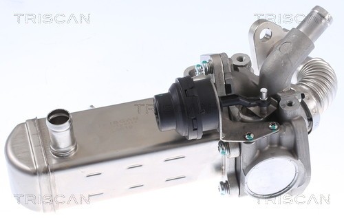 TRISCAN AGR-Kühler ohne Dichtungen für NISSAN Np300 Navara Pathfinder III Cabstar Nt400