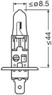 OSRAM Glhlampe, Abbiegescheinwerfer "TRUCKSTAR PRO (Next Gen)", Art.-Nr. 64155TSP-HCB